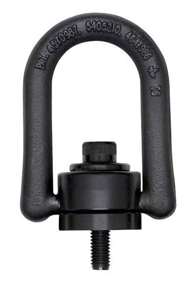 Picture for category Metric Hoist Rings