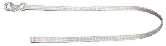 Picture of Lanyard Web 6'