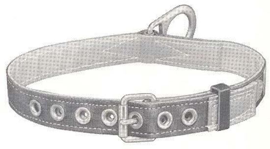 Picture of 5441S Safety Belt Lined 1D-S