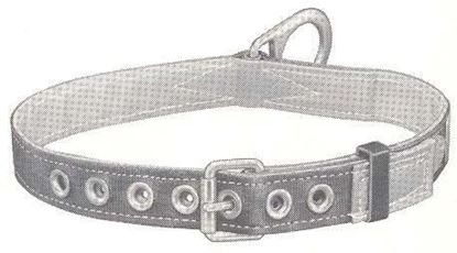 Picture of 5441L Safety Belt Lined 1D-L