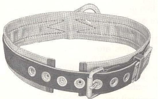 Picture of Safety Belt Padded 1D-S