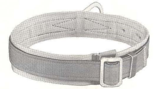 Picture of 5447-1D Safety Belt Padded 1D-M
