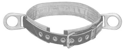 Picture of 5481 Belt Modular-M