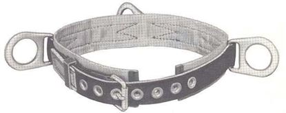 Picture of Belt Safety Padded 3D-S