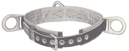 Picture of Belt Safety Padded 3D-M