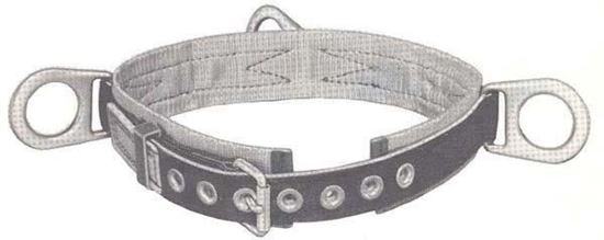 Picture of Belt Safety Padded 3D-L
