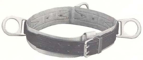 Picture of Safety Belt-3D-S