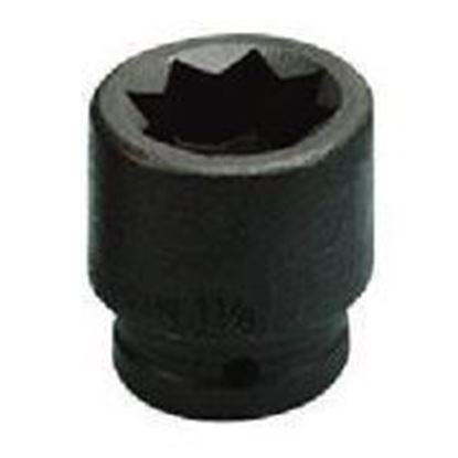 Picture of SOCKET  1DR 1 9/16 8PT