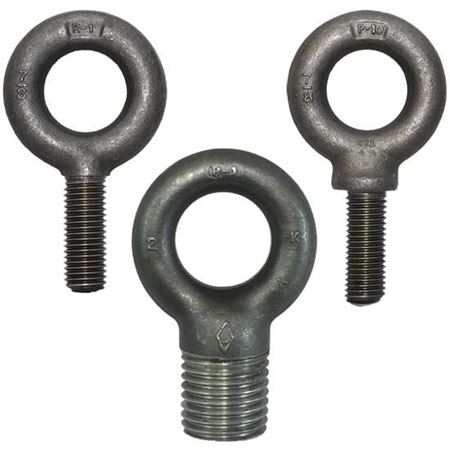 Picture for category Fractional Eye Bolts